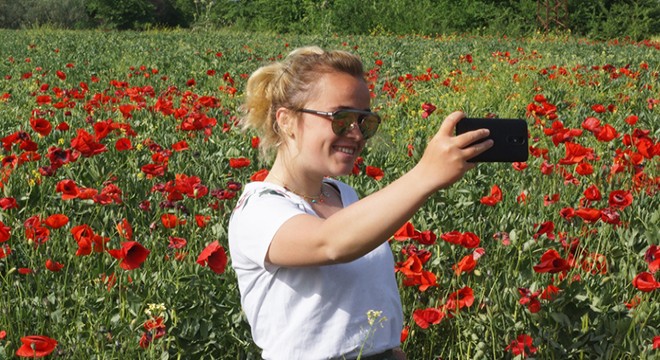 Gelincik tarlaları fotoğraf sevdalılarının mekanı oldu