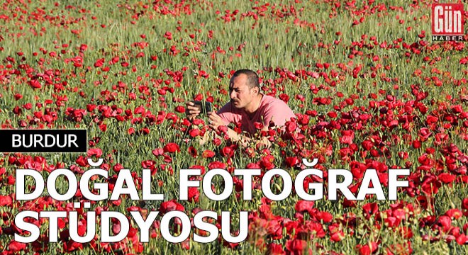 Gelincik tarlasında fotoğraf çektiriyorlar