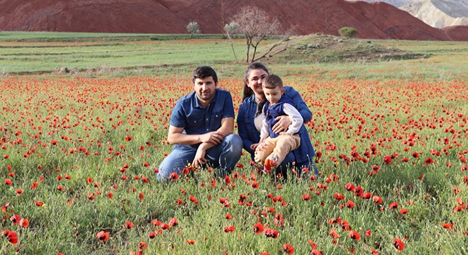 Gelincikler ovayı kırmızıya boyadı