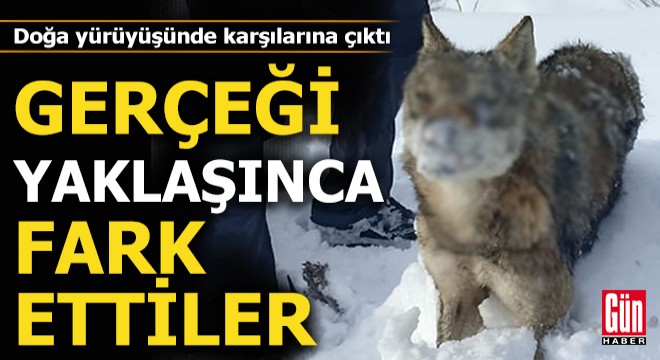 Gerçeği yaklaşınca fark ettiler