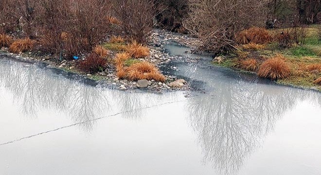 Gerede Çayı'nda kirlilik rahatsızlık yaratıyor