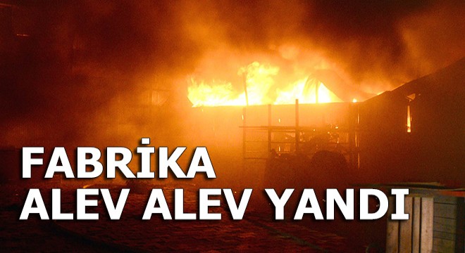 Geri dönüşüm fabrikası alev alev yandı