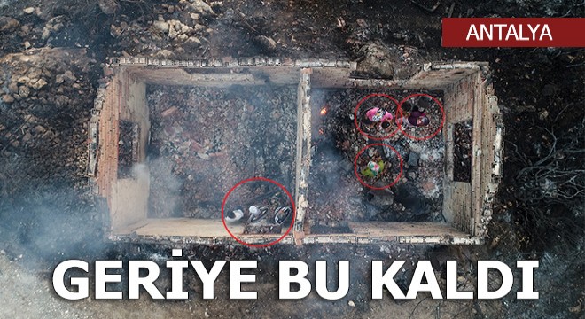 Geride acı, hüzün gözyaşı bıraktı