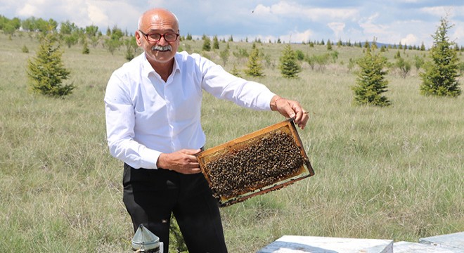 Gezgin arıcılar yaylalarda koronavirüse karşı üretim yapıyor