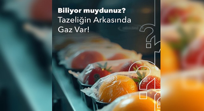 Gıda Ürünleri İçin En İyi Gazlar Hangileri?