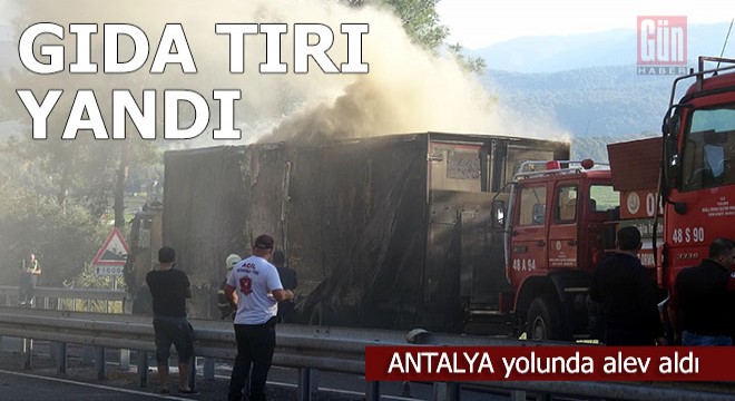 Gıda yüklü TIR alev alev yandı