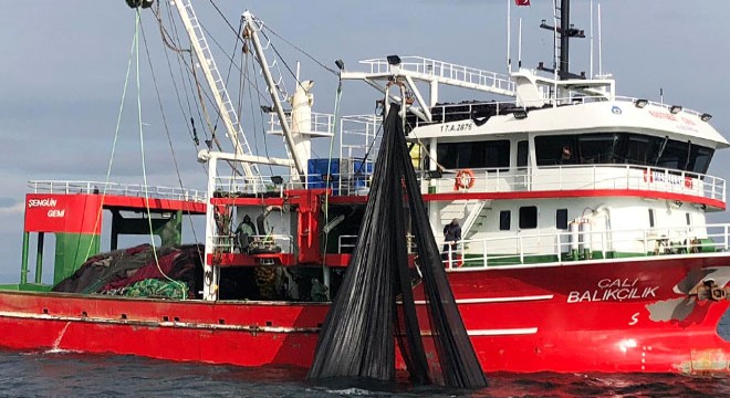 Gırgır teknesiyle, tek seferde 30 ton sardalya avladılar