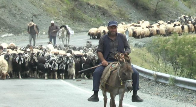 Göçerlerin yayla yolculuğu başladı