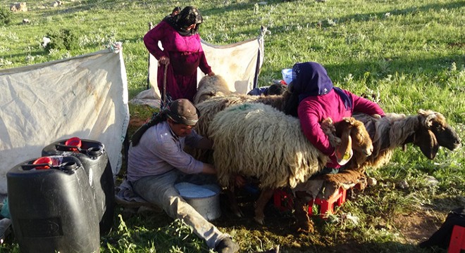 Göçerlerin zorlu yolcuğu başladı