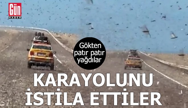 Gökten patır patır yağdılar: Karayolunu istila ettiler