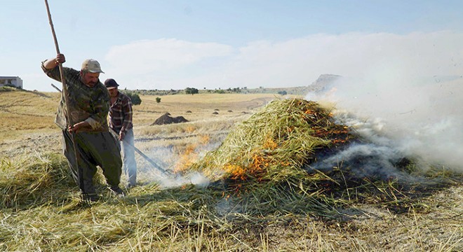 Gölbaşı’nda firiklik buğday hasadı başladı