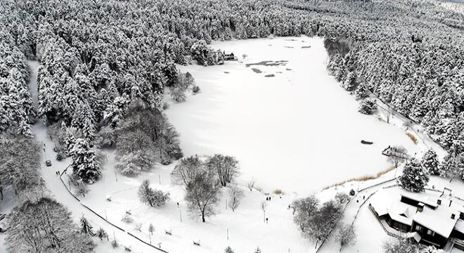 Gölcük Tabiat Parkı'nda göl buz tuttu