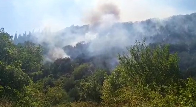 Gölcük’te orman yangını