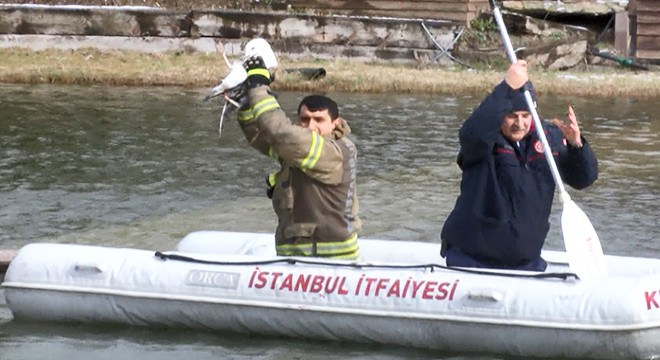 Gölette mahsur kalan martıyı itfaiye ekipleri kurtardı