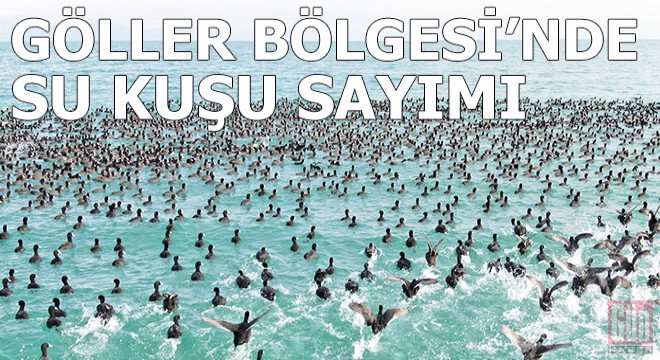Göller Bölgesi'nde kış ortasında su kuşu sayımı