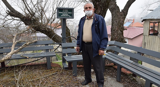 Göllü Yaylası'nda çevre düzenlemesi yapılacak