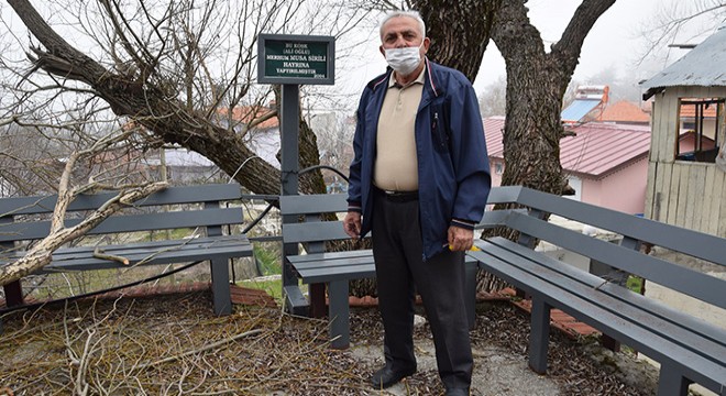 Göllü Yaylası nda çevre düzenlemesi yapılacak