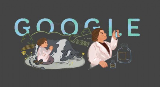 Google Türk veterineri andı