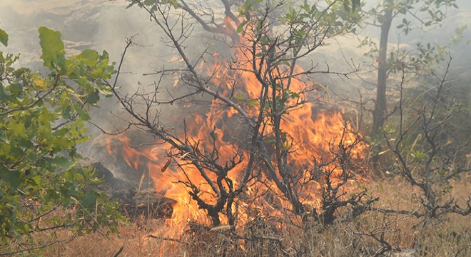 Görese Dağı ndaki yangın 4 gündür sürüyor