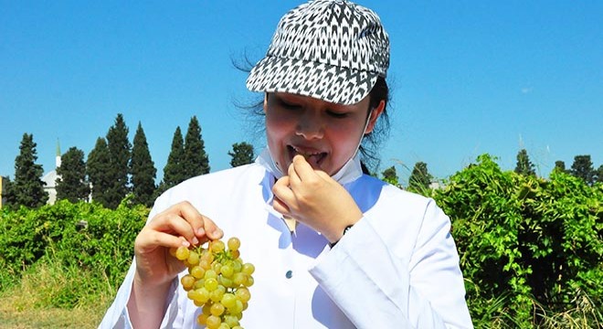 Görüntüsü üzüm, tadı ve aroması çilek