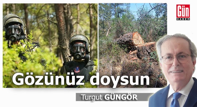 Gözünüz doysun