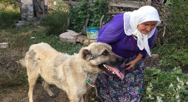 Gözyaşlarıyla tedaviye gönderdiği köpeğini mutlulukla karşıladı