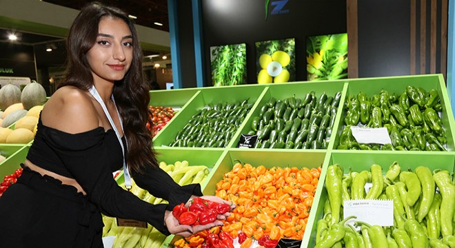 Growtech'le 400 milyon dolarlık iş hacmi