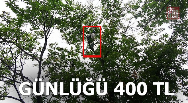 Günde 400 TL kazandıran bir mesleği var