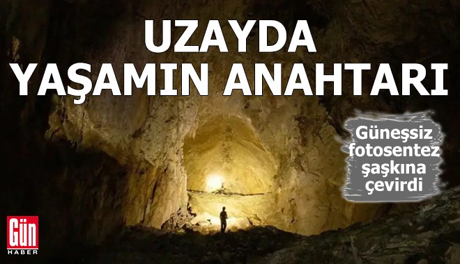 Güneşsiz fotosentez şaşkına çevirdi