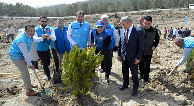 Gurbetçilerden Manavgat'a 250 bin fidan bağışı
