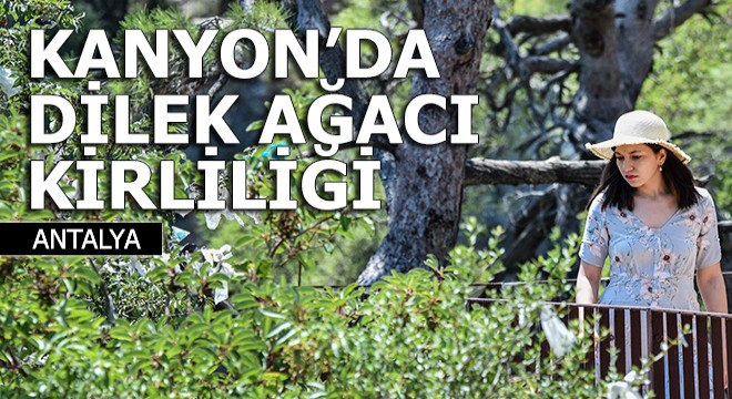 Güver Uçurumu Kanyonu'nda dilek ağacı kirliliği