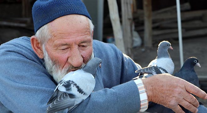 Güvercin besleyen Halil Dede, örnek oluyor