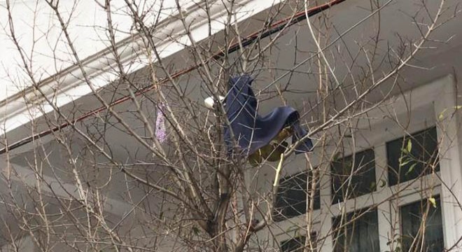 Güvercin yakalamak isteyen çocuk, terastan düştü