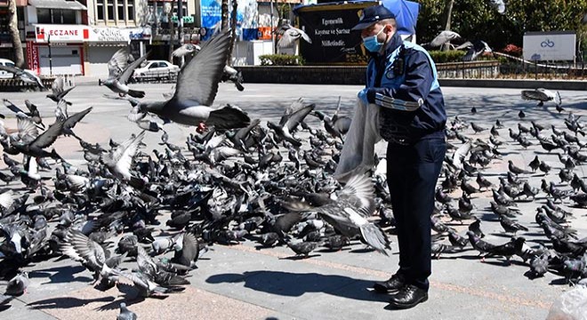 Güvercinleri zabıta besledi