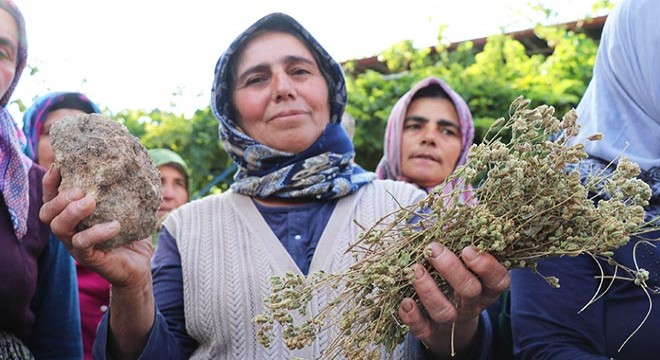 Güzelpınar'da taş ocağı eylemi