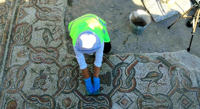 Hadrianopolis'te yeni mozaikler bulundu