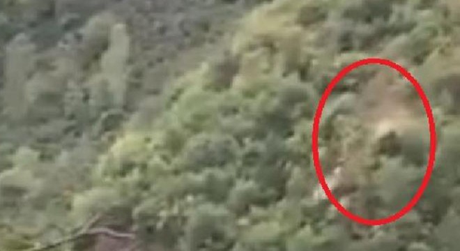 Hafif ticari araç uçurumdan yuvarlandı: 3 yaralı