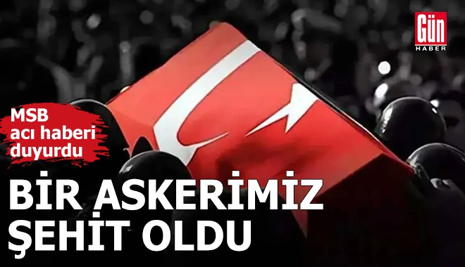 Hakkari'de bir askerimiz şehit oldu