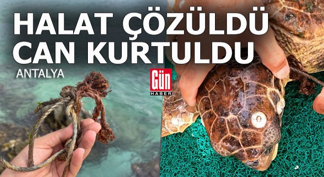 Halata takıldı dalgıçlar kurtardı