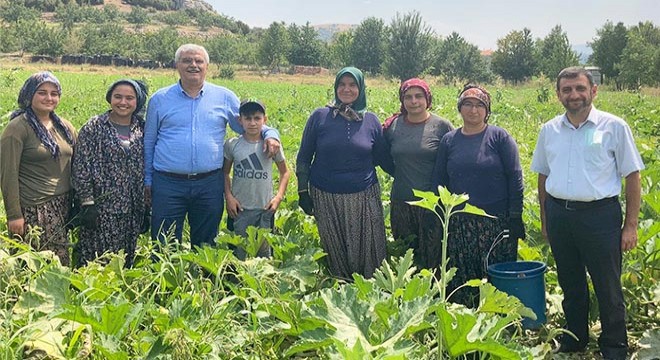 Halde çevre düzenlemesi yapılacak