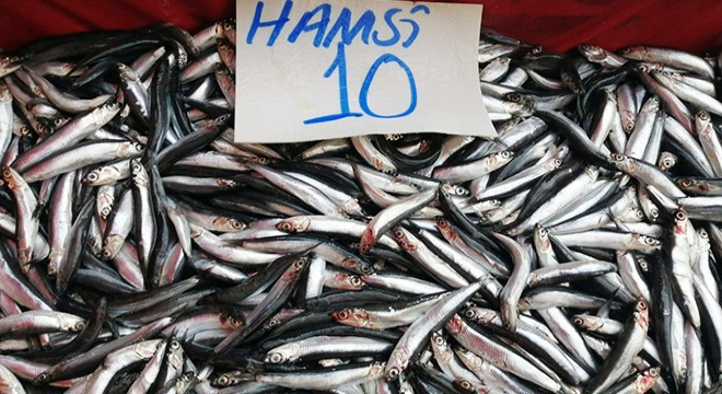 Hamsi bollaşınca balıkçıların yüzü güldü