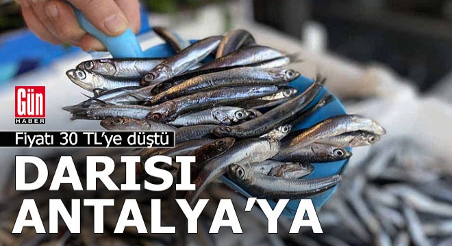 Hamsi fiyatı 30 liraya düştü