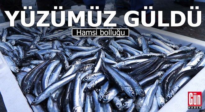 Hamsi bolluğu; geçen yıla oranla 2 kat arttı