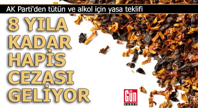 Hapis cezası geliyor: AK Parti'den yeni yasa teklifi
