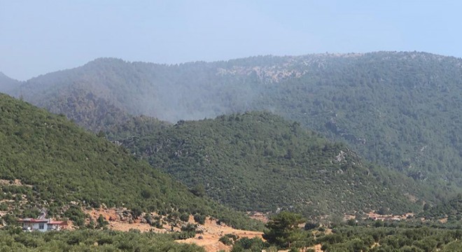 Hassa'daki yangın kontrol altında; 200 hektar alan zarar gördü