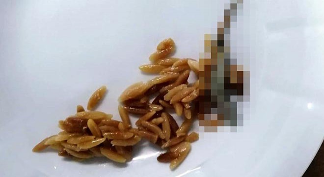 Hastane yemeğinde kertenkele iddiasına inceleme