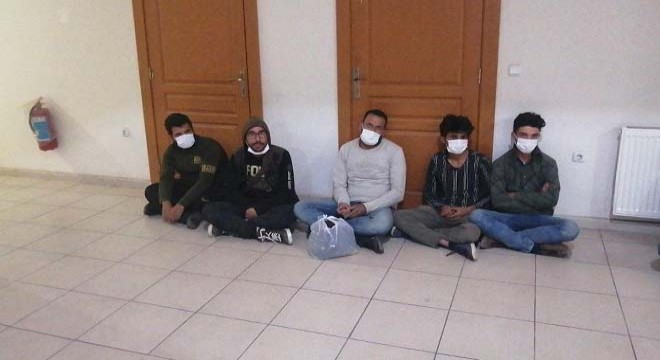 Hatay'da 22 kaçak göçmen yakalandı