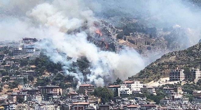 Hatay'da orman yangını