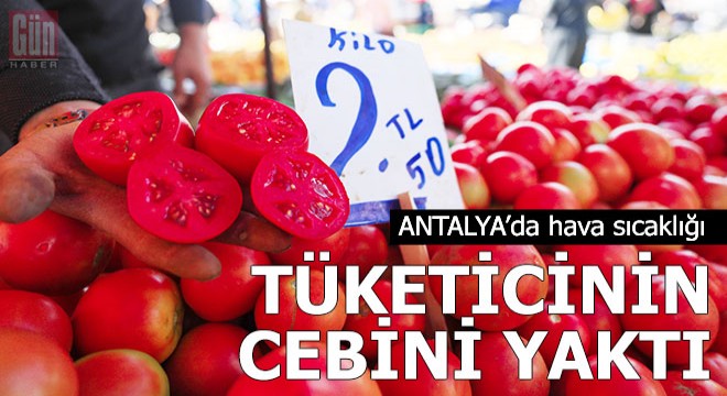Hava sıcaklığı tüketicinin cebini yaktı
