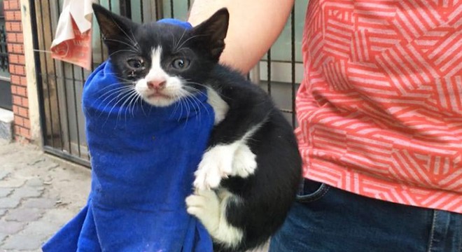 Havalandırma boşluğuna düşen yavru kedi kurtarıldı